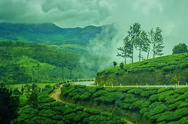 munnar